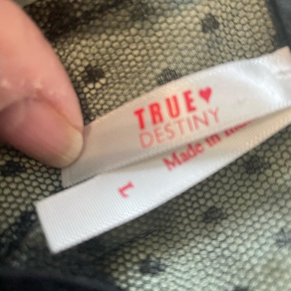 True Destiny - Picture 3 of 4